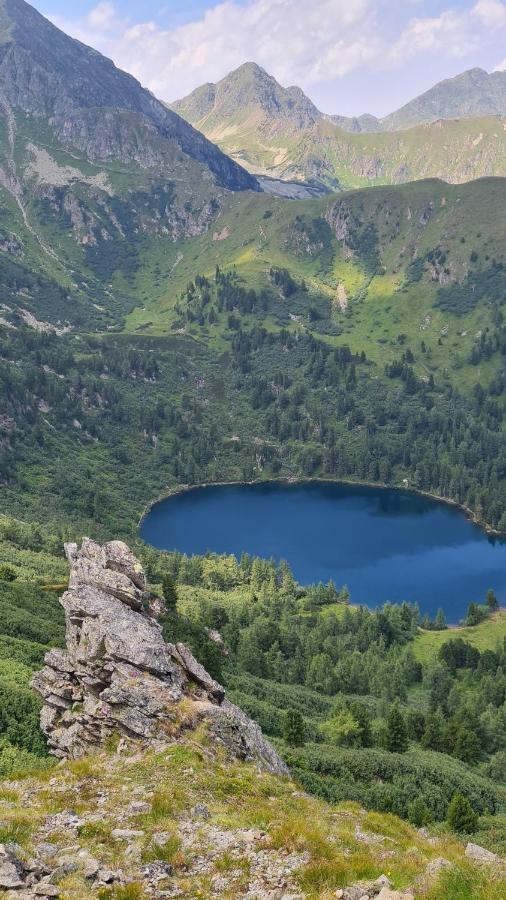 Vila Haus Emmy - Urlaub Bei Freunden Hohentauern Exteriér fotografie