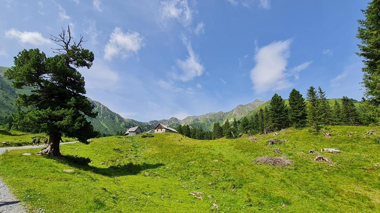Vila Haus Emmy - Urlaub Bei Freunden Hohentauern Exteriér fotografie