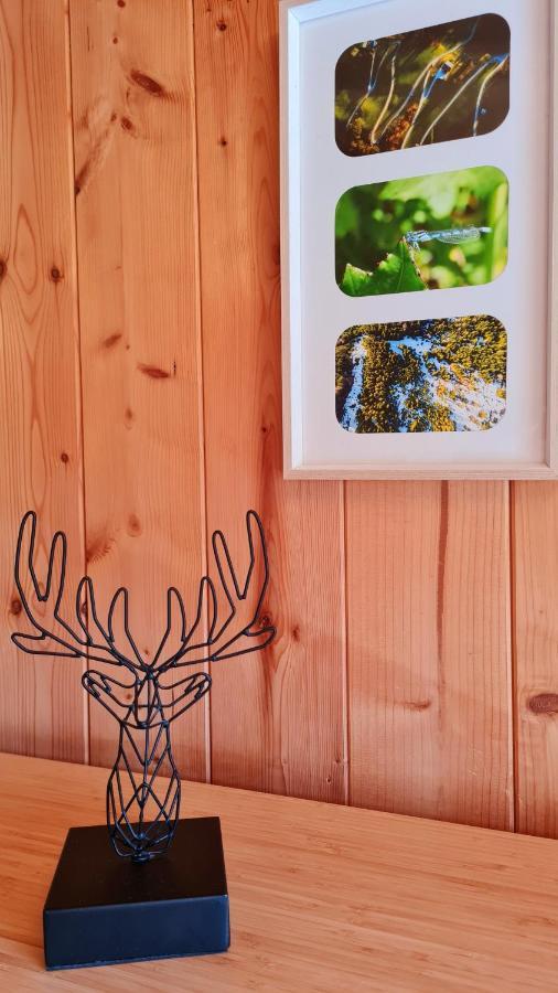 Vila Haus Emmy - Urlaub Bei Freunden Hohentauern Exteriér fotografie