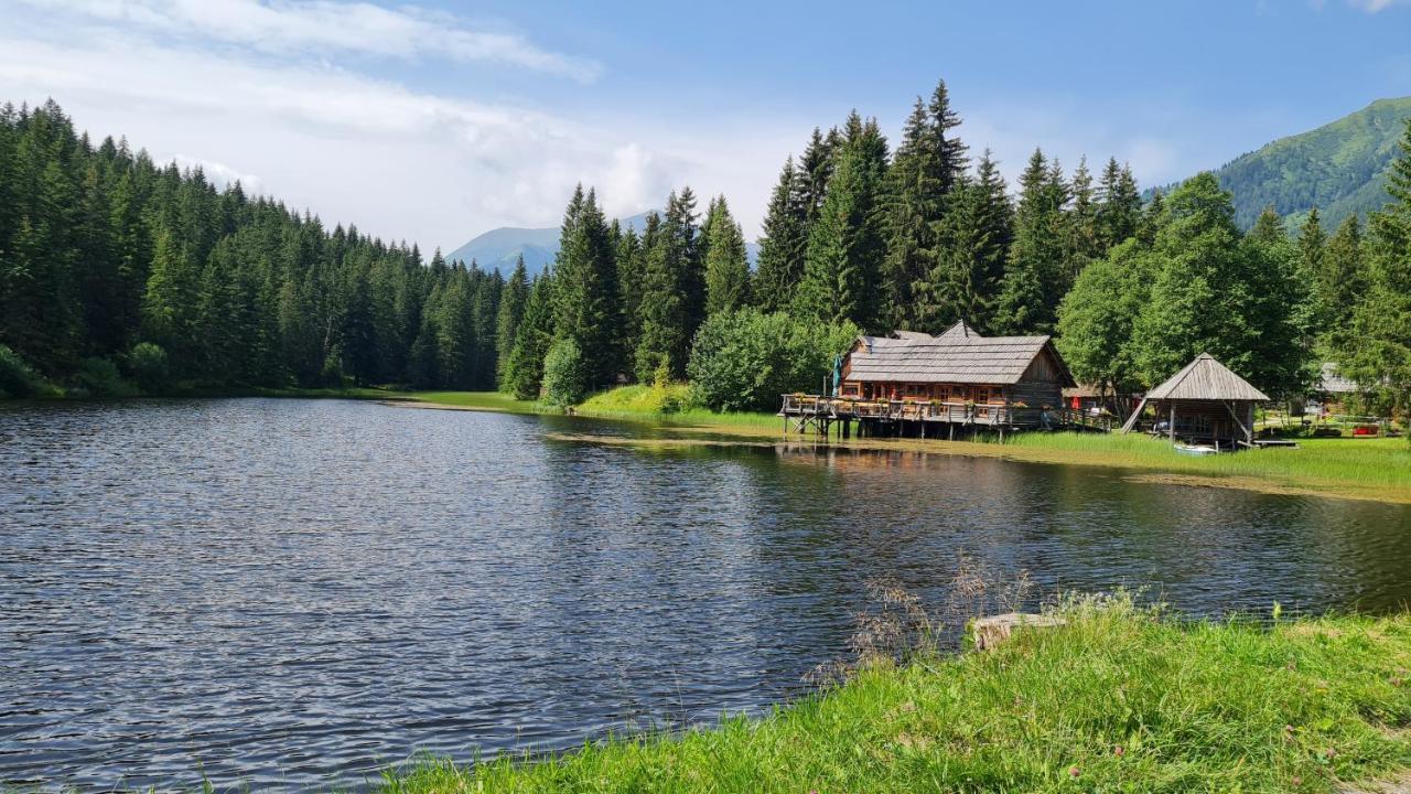 Vila Haus Emmy - Urlaub Bei Freunden Hohentauern Exteriér fotografie