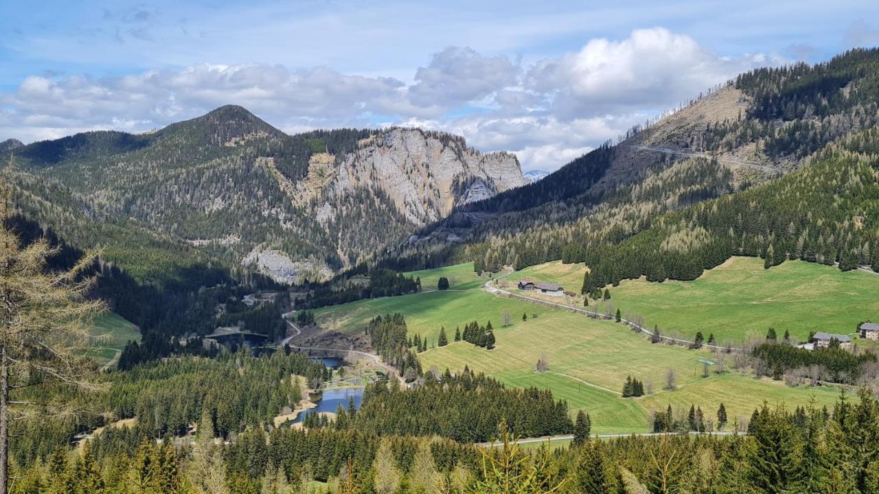 Vila Haus Emmy - Urlaub Bei Freunden Hohentauern Exteriér fotografie