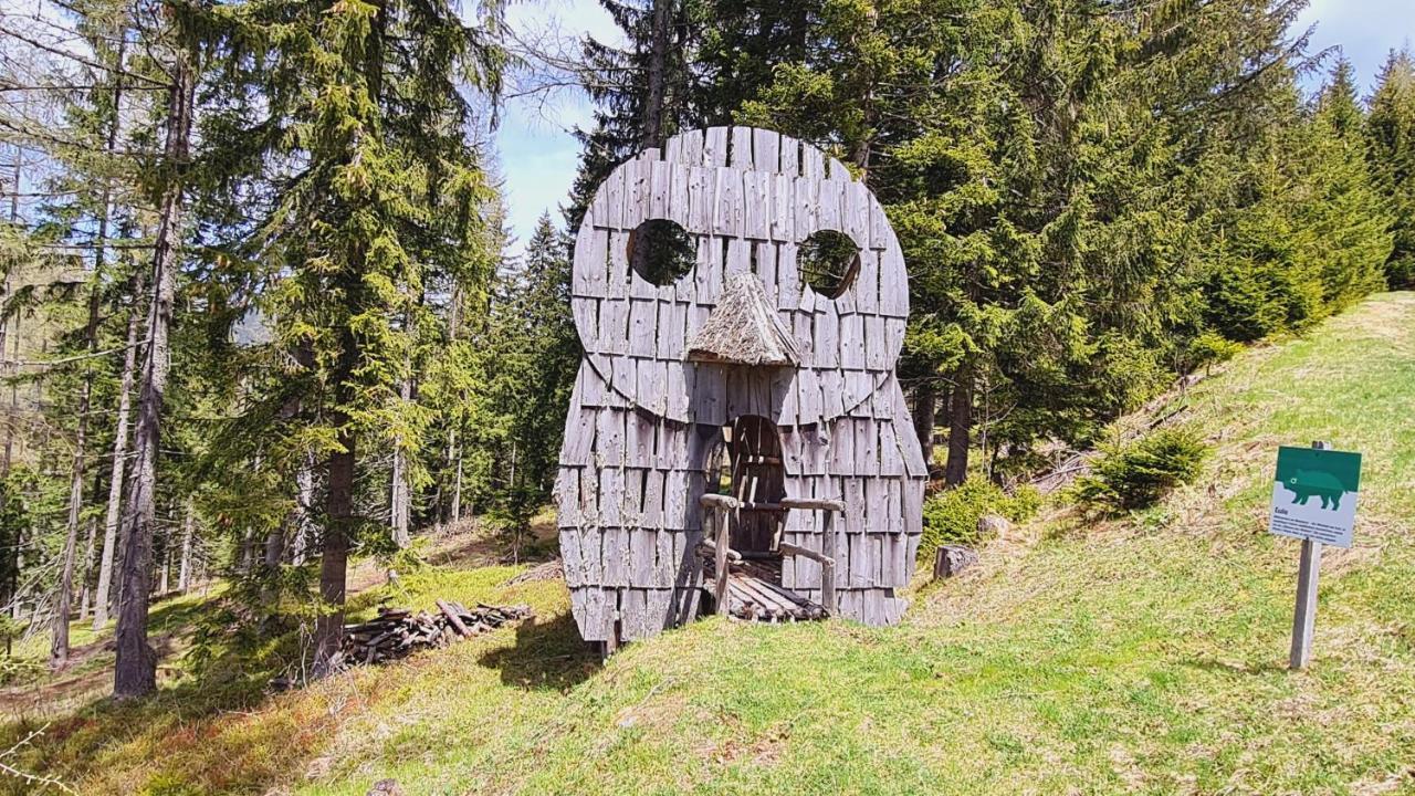 Vila Haus Emmy - Urlaub Bei Freunden Hohentauern Exteriér fotografie